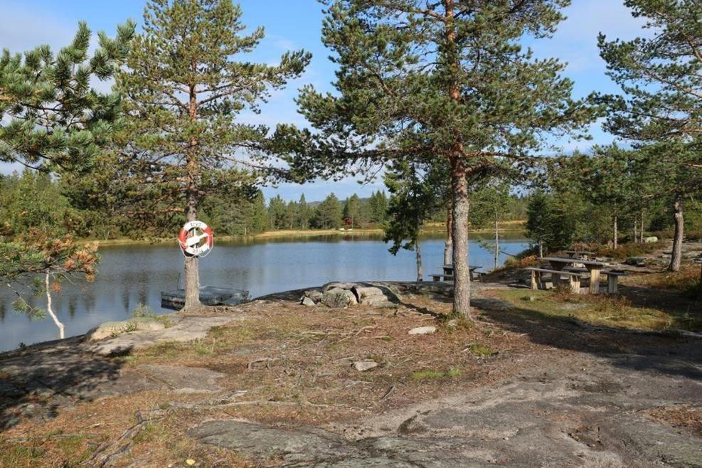 Ekornredet